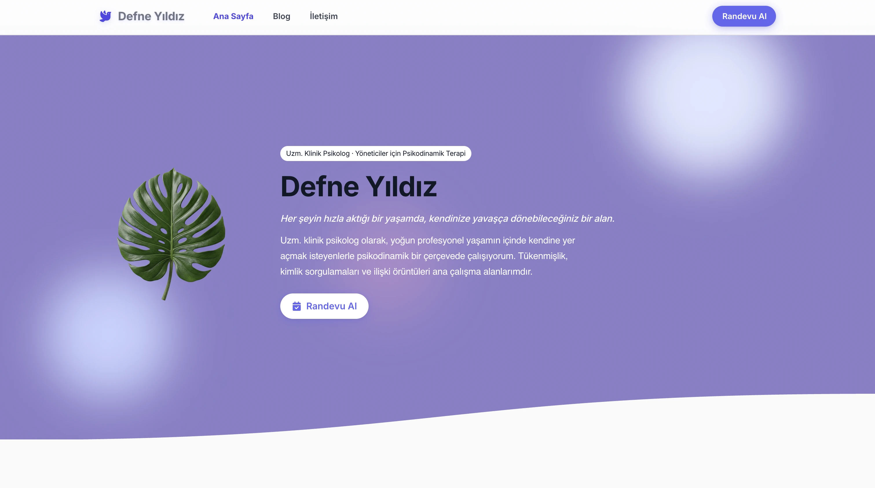 Defne terapist için Premium stilde web sitesi hero örneği